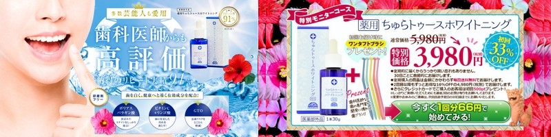 �z���C�g�j���O�́u�����g�D�[�X�v���T�C�g